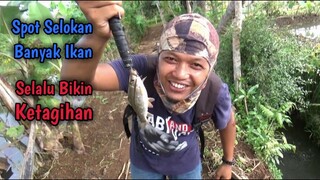 Senengnya Mancing Ikan di Selokan Sawah Banyak Ikan Nilem dan Nila