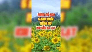 Đừng bỏ qua nha