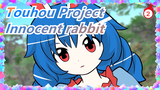 Touhou Project|[Hand Drawn MAD][EP 10/NICO Demetori]Innocent rabbit (23)_2