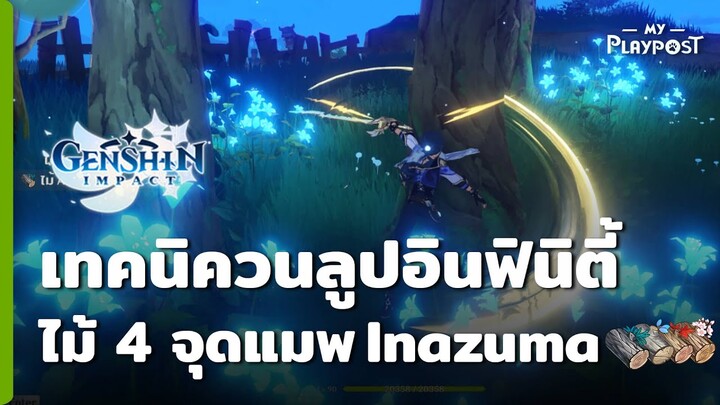 Genshin Impact จุดฟาร์มไม้ 4 ชนิด บนเกาะ Inazuma ด้วยเทคนิควนลูปอินฟินิตี้!