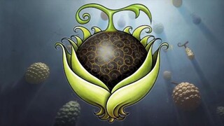BUAH IBLIS YANG DI ANGGAP SEPELE NAMUN PALING BERBAHAYA JIKA DI GUNAKAN DENGAN BENAR!!?😱☠️