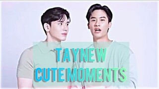 Tay&New. Moments🐬🐻‍❄️