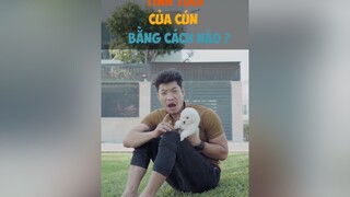 Tuổi chó được tính như thế nào dcgr tuitienpet LearnOnTikTok pet