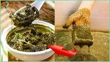 8 Món Đồ Ăn "Bốc Mùi" Khá Nổi Tiếng ở Việt Nam THÁCH Bạn Dám Ăn Chỉ 1 Lần - Ăn 1 Miếng Cho 5 Xị