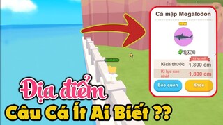 Play Together | Địa Điểm Câu Toàn Cá To Mà Ít Người Biết Tới Sau Khi Xem Xong Clip Này :)))