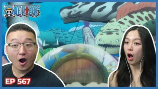 SHIRAHOSHI IS THE QUEEN!!?! | One Piece Episode 567 Couples Reaction & Discussion