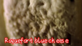 Roquefort blue cheese