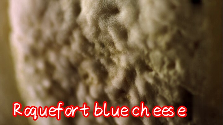 Roquefort blue cheese