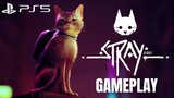 Exclusive Stray Gameplay PS5 4K 60FPS