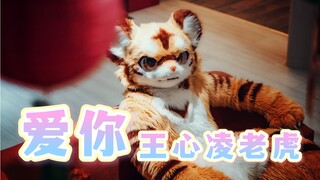 王心凌老虎！冲啊！《爱你》原地打call！王心凌的粉丝只是老（虎）了，不是死了！