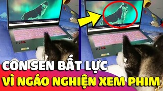 Phát hiện NGÁO nghiện xem phim, ngẩn người khi thấy 'ÔNG CỐ NỘI' mình 'SIÊU NGẦU LÒI' 🤣 Gâu Đần