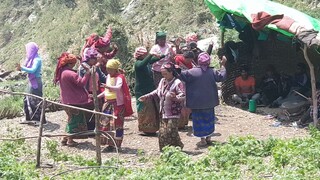 dance in panchebaja | Nepalese typical music |