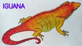 Cara menggambar jenis hewan iguana || Cara menggambar dan mewarnai hewan yang mudah