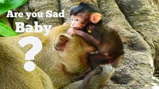 Oops!!, Why Are You Looking Sad Face Baby?, Tiny Baby Monkey Brittany Look Unhappy With Mum