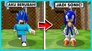 LARI KENCANG! Aku Mendapatkan Kekuatan Sonic! - Find Sonic Morph (Roblox)