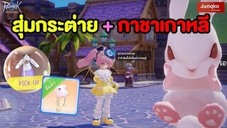 กล่องสุ่มกระต่าย + กาชาเกาหลี | Ragnarok Origin