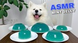 Dog Eating Mint Jelly From Genshin Impact