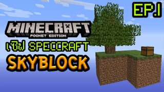 เล่น Minecraft PE Skyblock Server EP.1 เอาชีวิตรอดก็ลอยฟ้าในเซิฟ SpecCraft