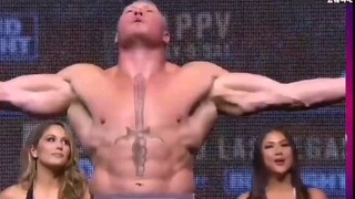 [Remix]Nhà vô địch hạng nặng UFC