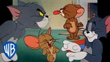Tom & Jerry | Great Friends, Better Enemies | Classic Cartoon Compilation |@wbkids​