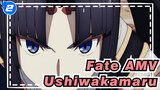 [Fate AMV] Ushiwakamaru: The Strongest Sword Guarding Babylon_2