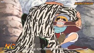 PERBEDAAN LUFFY DAN ACE DIMATA NAMI