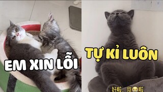 HOÀNG THƯỢNG số nhọ, vì xấu trai mà bị em trai cướp mất bồ !! | Pets TV