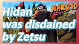 Hidan was disdained by Zetsu