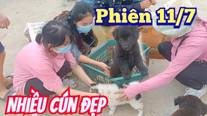 Review chợ chó Bắc Hà 11/7 những chú chó đẹp nhất phiên hôm nay.