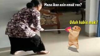 LUCU BANGET.! Kucing Oren Bar-bar Berantem Sama Emak Setelah Nyuri Ikan Asin.! Endingnya Ngakak