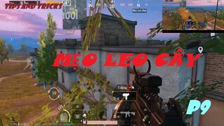 Hướng dẫn leo lên cây núp mà không ai phát hiện - Mẹo Pubg Mobile | Part 9