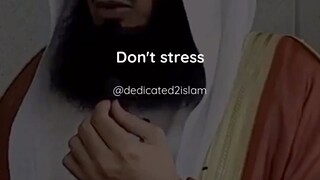 Dont Stress