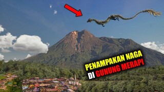 Penampakan Makhluk Mitos NAGA Yang Ternyata Ada Di Kehidupan Nyata